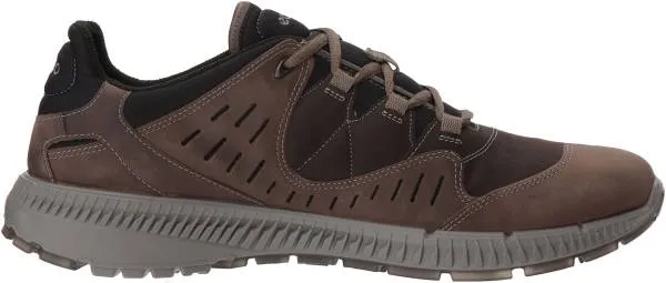 Ecco Terrawalk