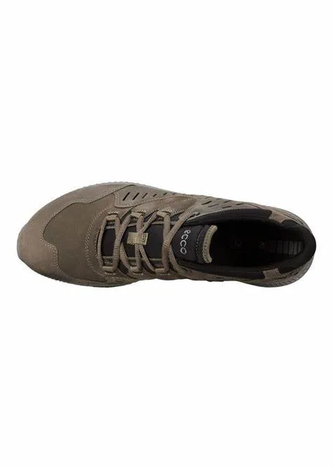 Ecco Terrawalk